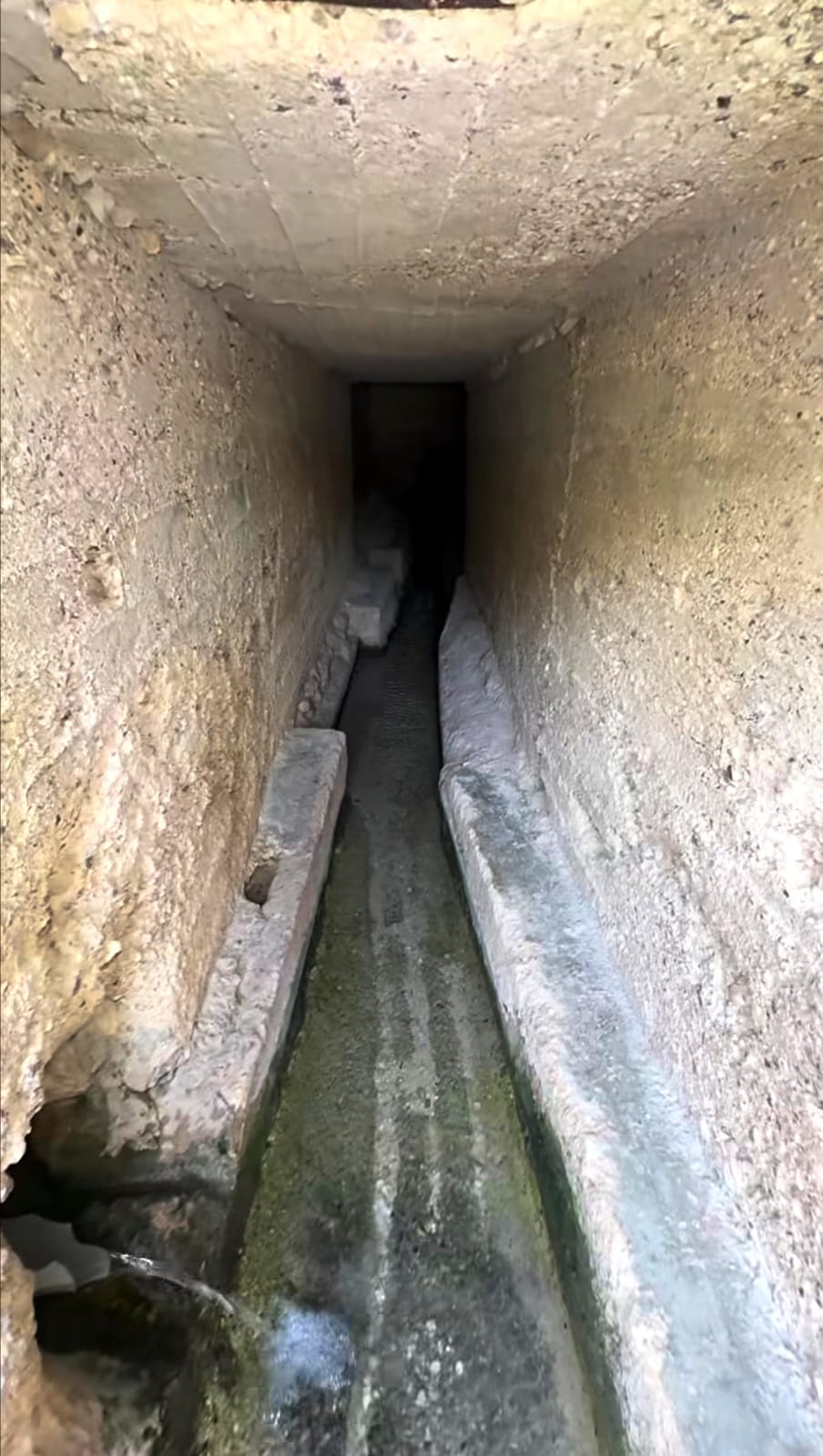 عين الهُوَدية – واحة الماء المخفية في قلب الكرك