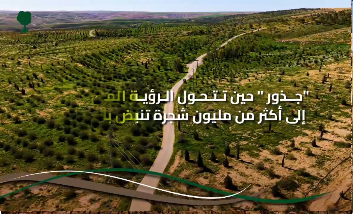 غابة جذور ( مشروع جذور)
