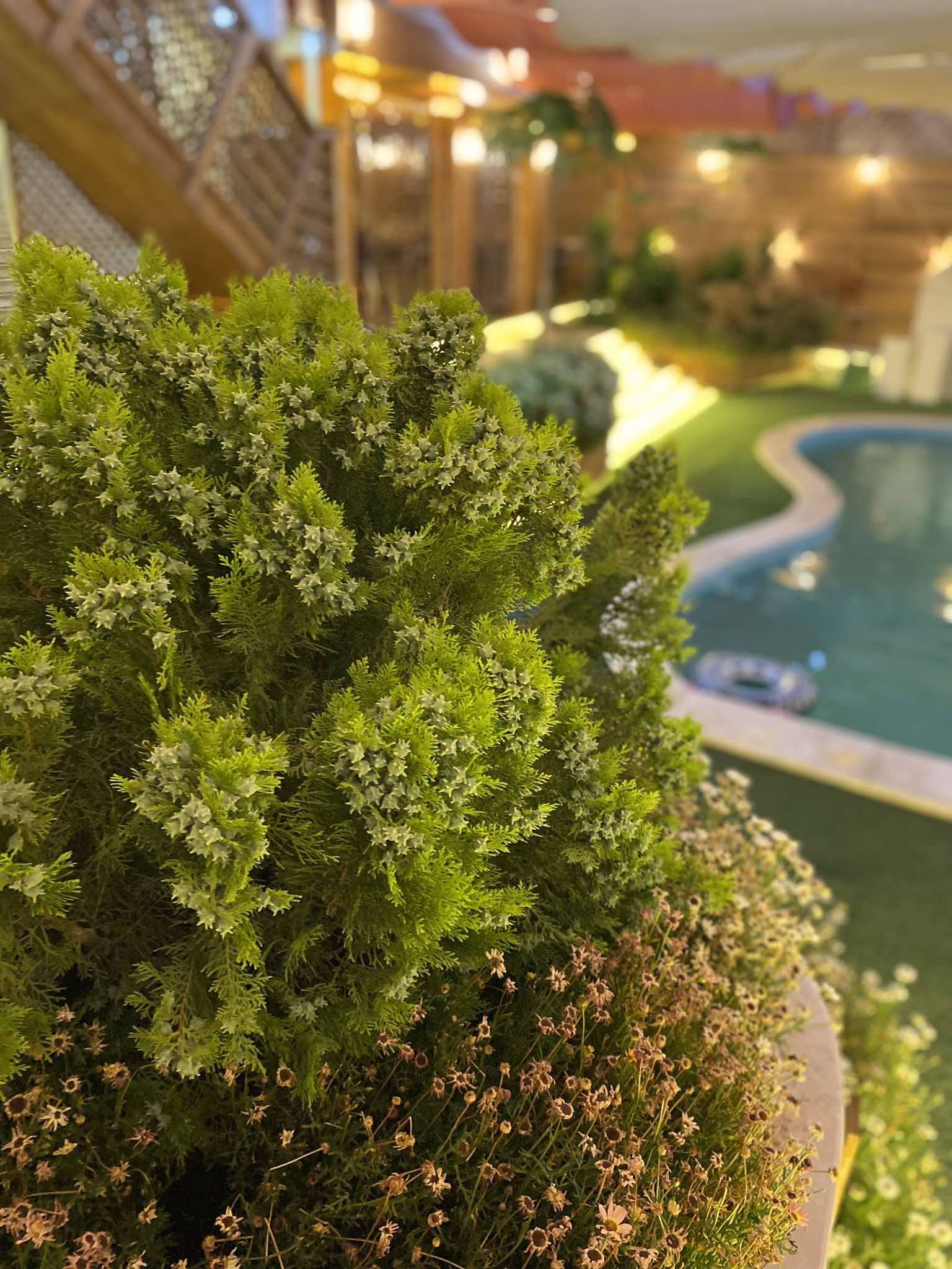 منتجع طرابزون السياحي