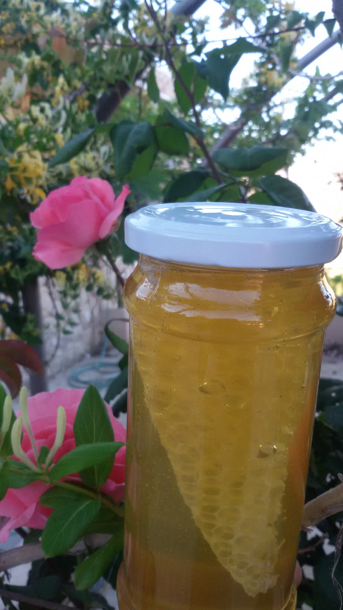 العسل الطبيعي