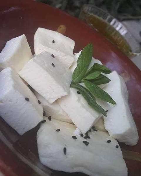 الألبان والأجبان البلدية